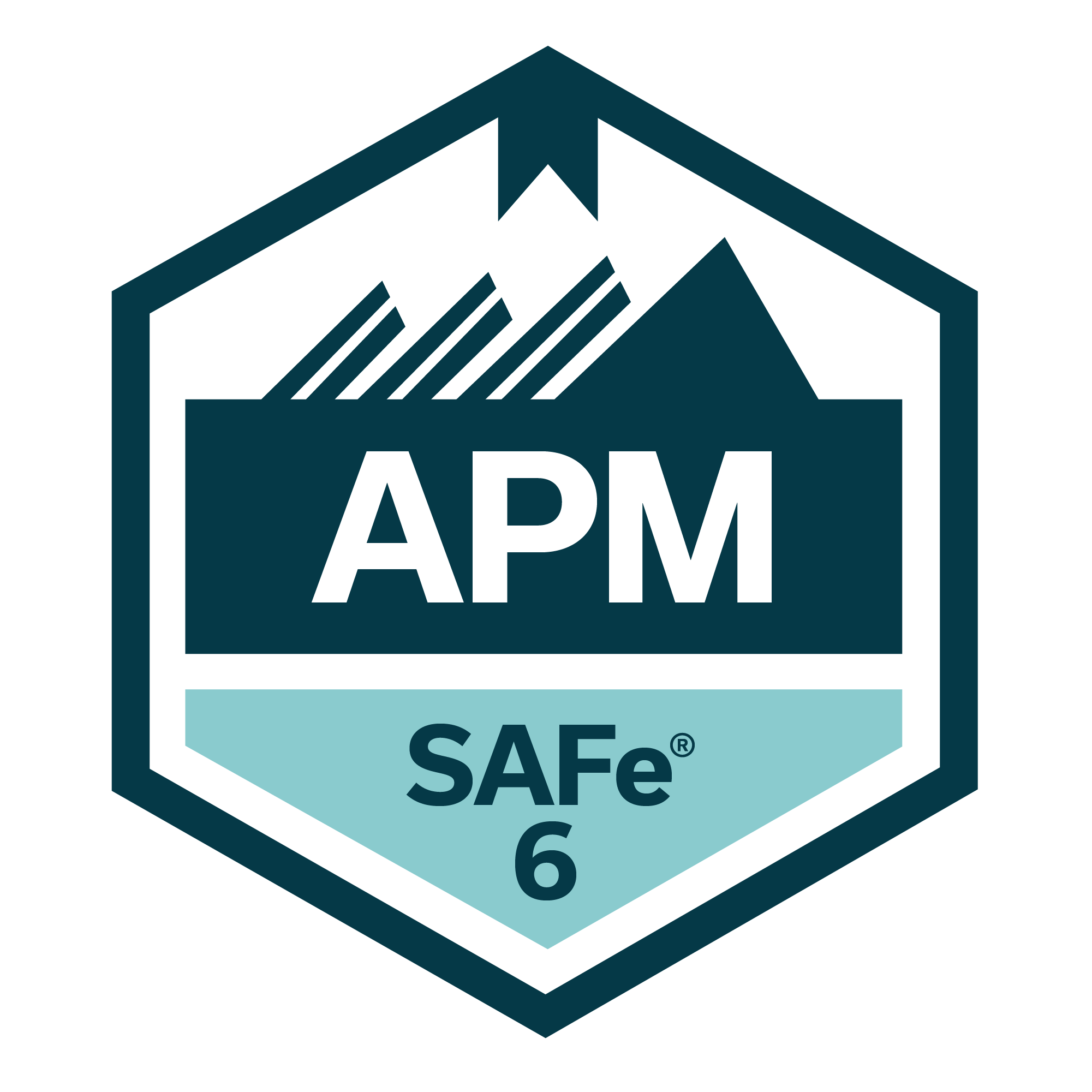 SAFe 6 APM