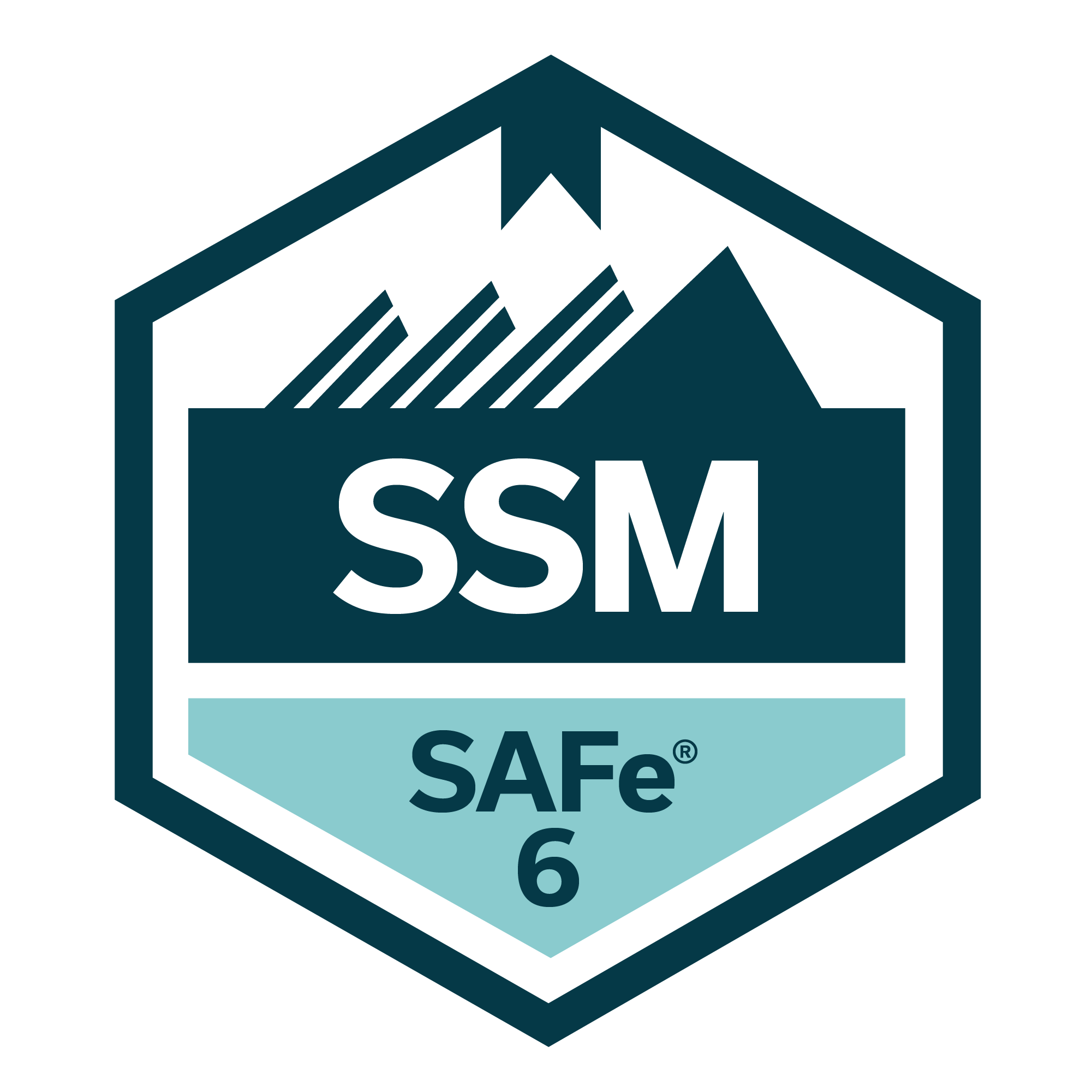 SAFe 6 SASM